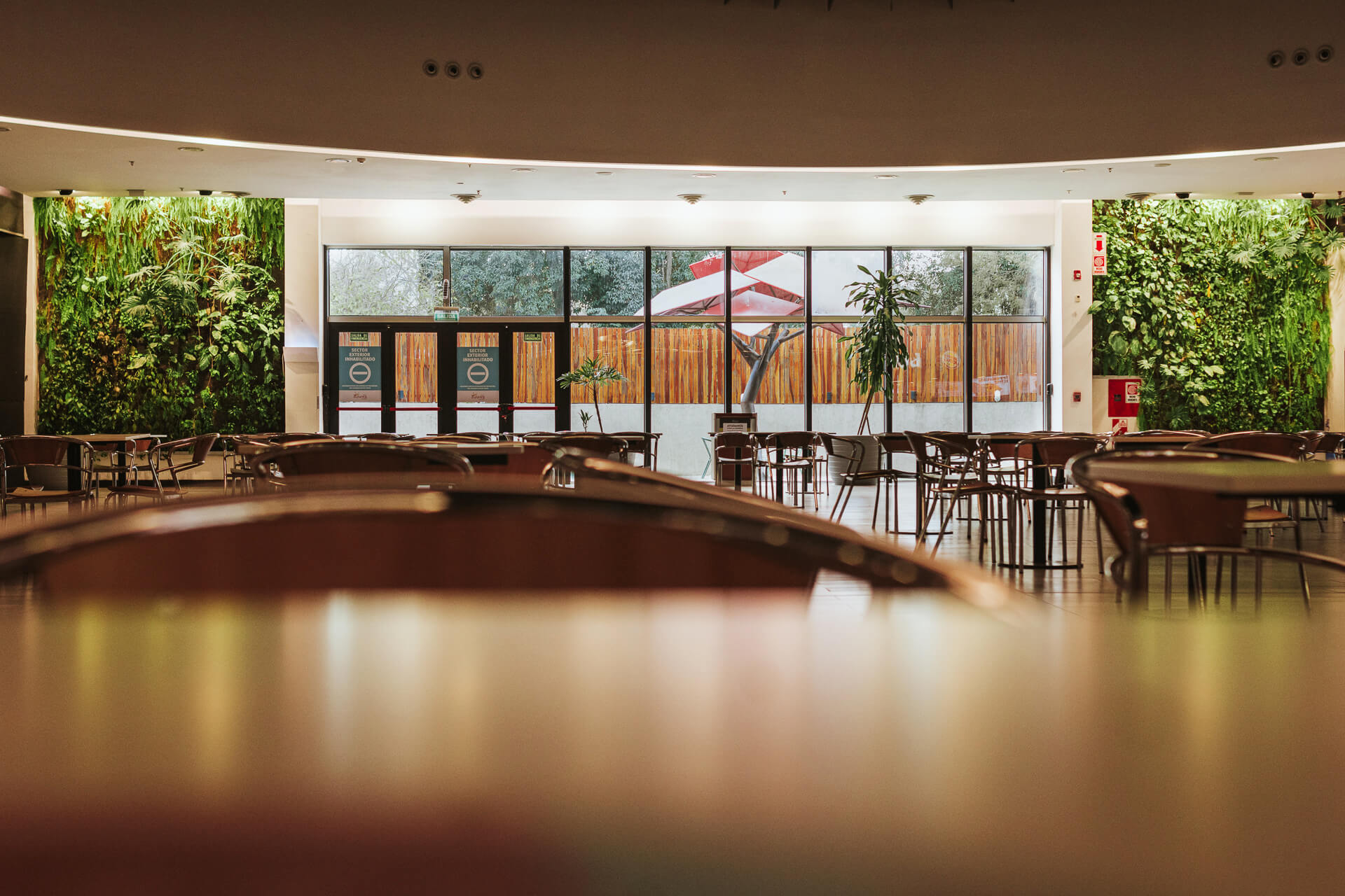 Obra en Paseo Rivera Indarte - Masdar Jardines