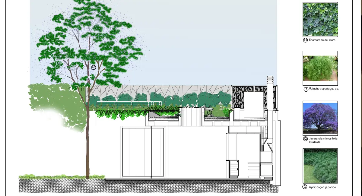 Plano Cámara de la Construcción Proyectos de Paisajismo - Masdar Jardines